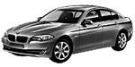 BMW F10 U257F Fault Code